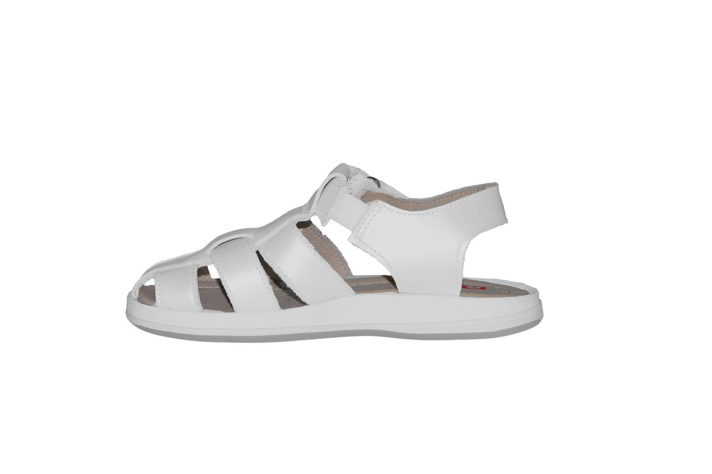 Biolather Trento 5747
