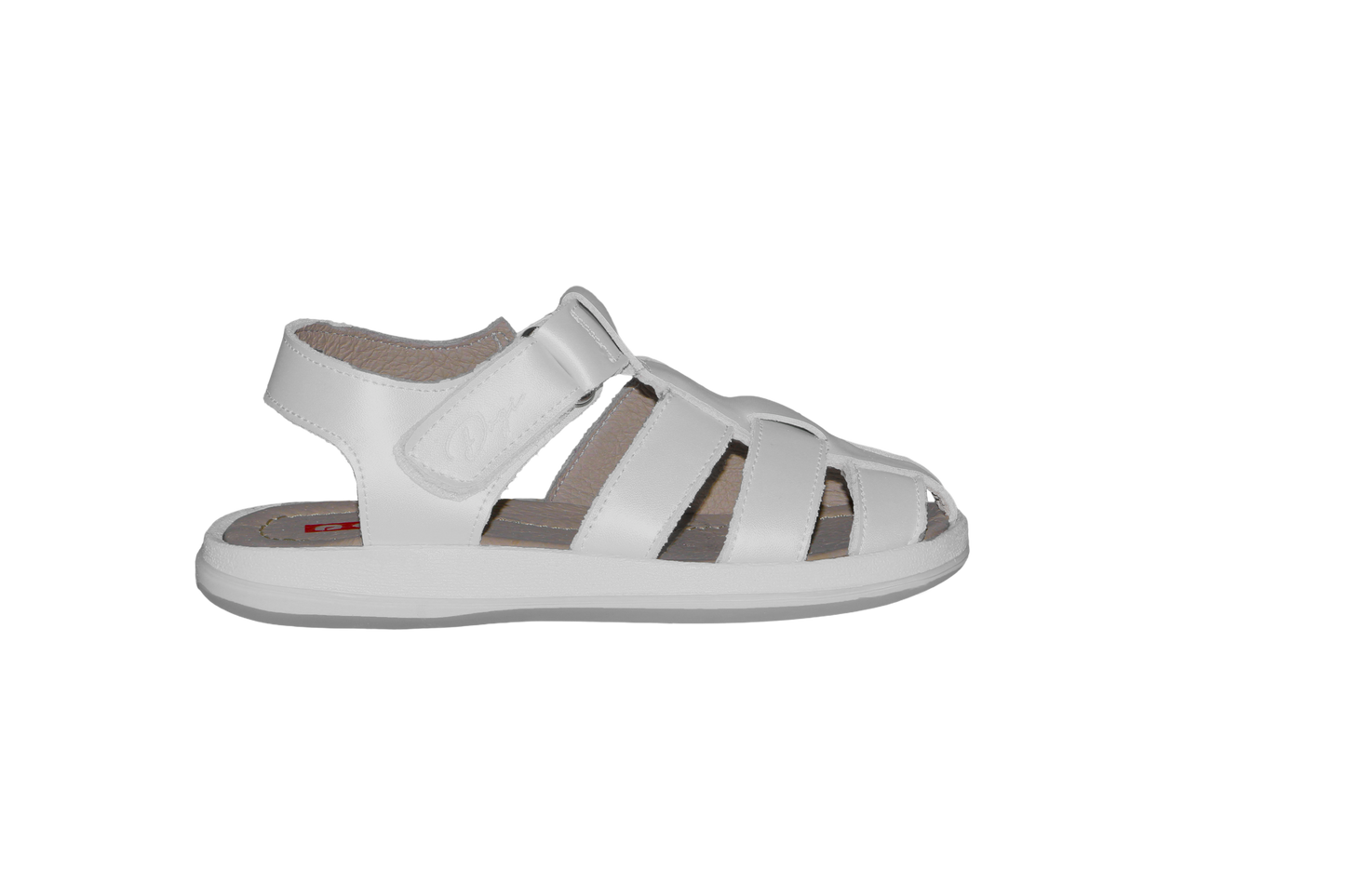 Biolather Trento 5747