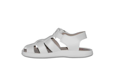Biolather Trento 5747
