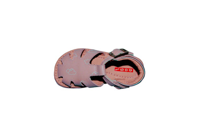 Maja Reims Rosa 5895